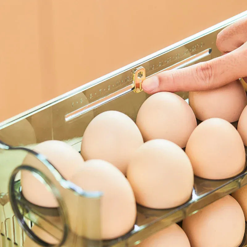 Eggvana™ Space-Saving, 3-Layer Storage for 30 Eggs